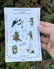 Orchestra Animals Sticker Sheet