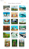 Assorted Cards of Your Choice!