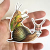 Sticker / Snail & Grasshopper / Die Cut Vinyl Sticker